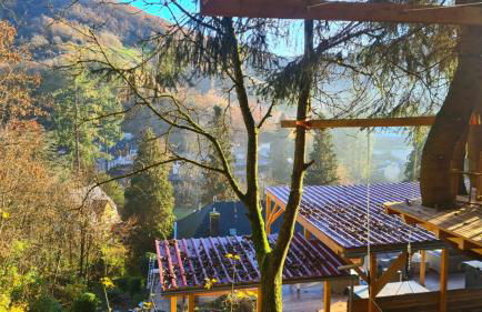 Waldhaus zum gechillten Hirsch in der Natur, bei der Moseltherme Traben-Trarbach - Foto 28