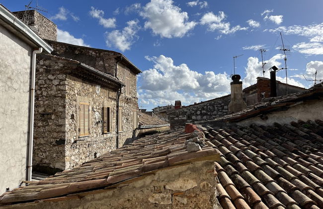 Preta Nera Van Gogh in Giuliano di Roma - Foto 7