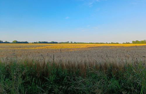 "Giseldas Rosen" - Allergikerfreundliche Ferienwohnung mit Wintergarten - Foto 22