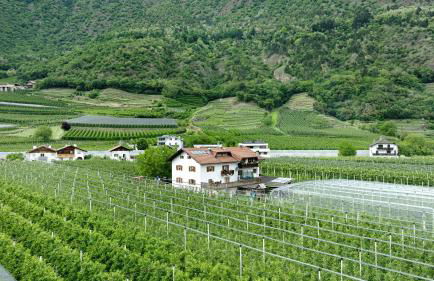 Bauernhof Sackgut - Foto 20