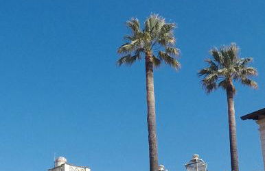 Torre Della Darsena - Foto 24