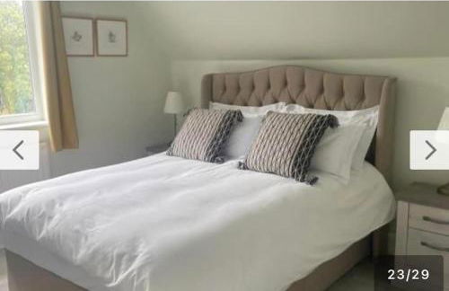 New Forest View - Foto 37