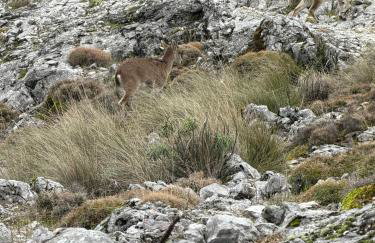 Los Llanos del Campo - Foto 46