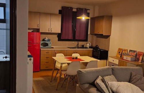 Διαμέρισμα παραποτάμια Νάουσα - Foto 4