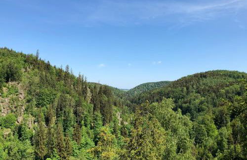 View & Garden Villa Schauenstein - Foto 32