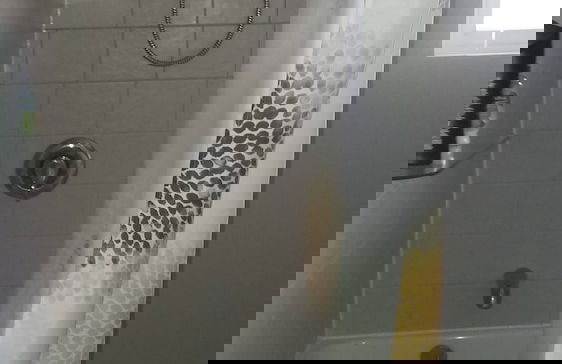 Big House for Share Near 401-east And Pickering Town Centre - Foto 9