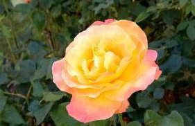 Dúplex rodeado de naturaleza, bodegas e historia - Foto 27