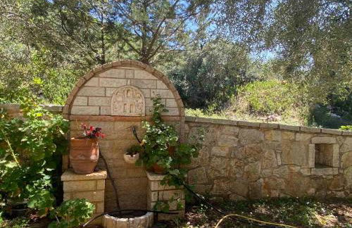 Oliveto e mare - Foto 19