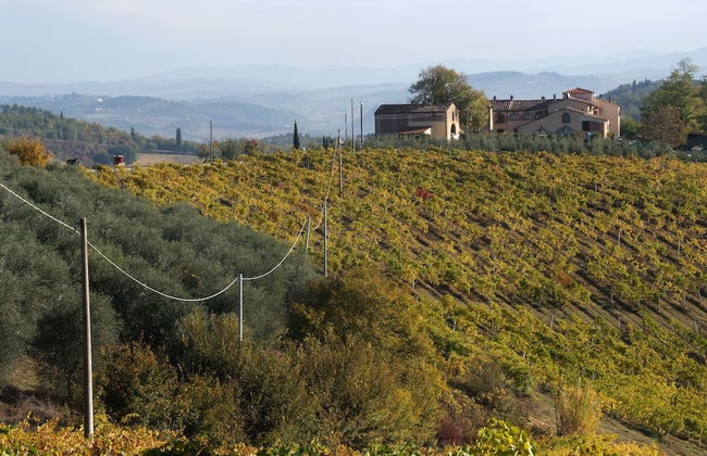 Agriturismo Torre Prima Holidays - Photo 48