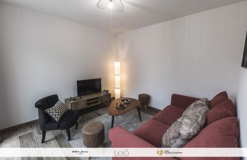 La parenthèse du Tourmalet - séjour tout compris - draps et ménage inclus- - Foto 35