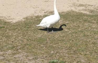 Zakatek Mala-apartamenty nad jeziorem - Foto 47