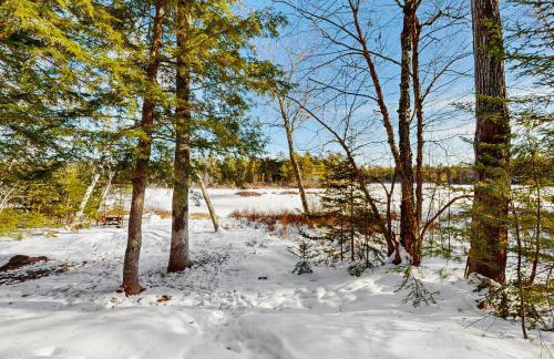 Moose’in Around - Foto 1