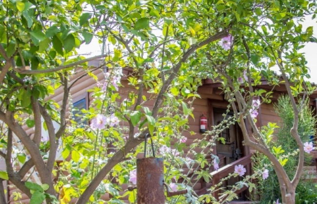 Indigolan - Photo 19