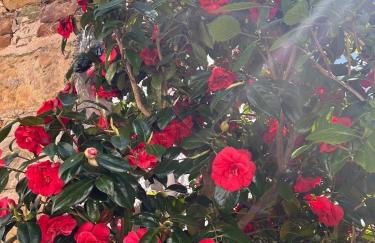 Beautiful Coastal Cottage in Pittenweem - Foto 15