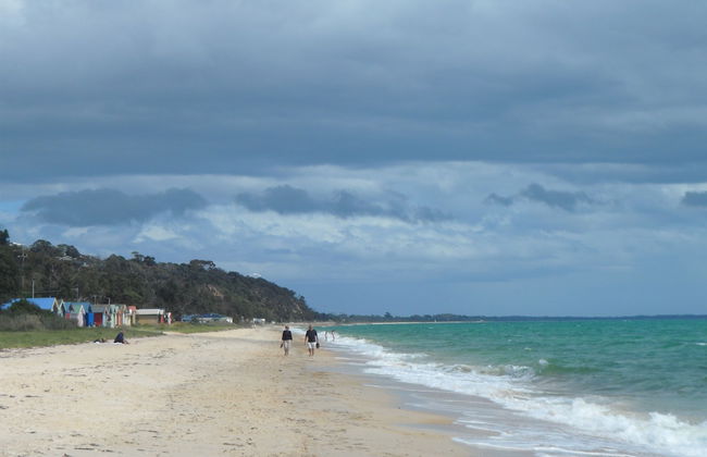 Beachwalk Cottage - Foto 42