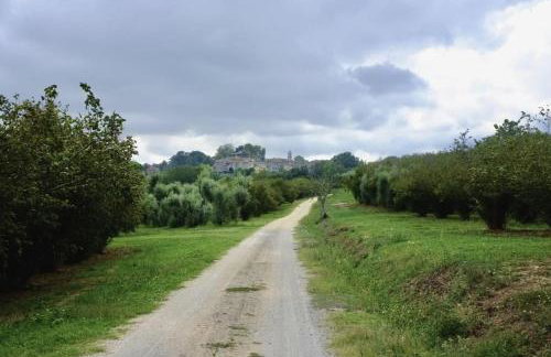 Casale Pomodoro - Foto 42