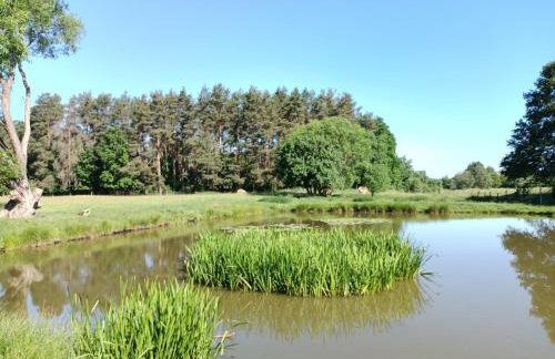 Smocze Ranczo 2 - Foto 60