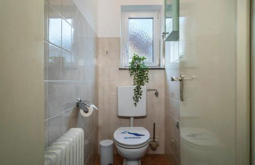 Mein lieber Schwan - Foto 23