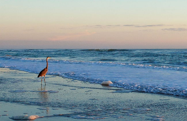 Club Sea Oats - Foto 44