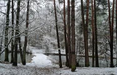 Ferienwohnung Schuberski - Foto 38