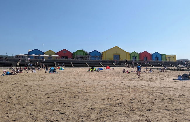 Emlyn's Coppice - Woodland Glamping - Foto 54