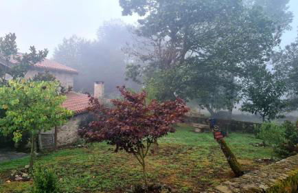 Casas Quo Vadis -Azul - Foto 16