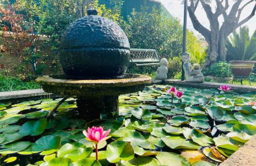 Studio Soleil - Piscine, Parking, Jardin, Calme, Wifi, 2 personnes - Foto 21