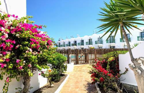 Buganvilla - Photo 32