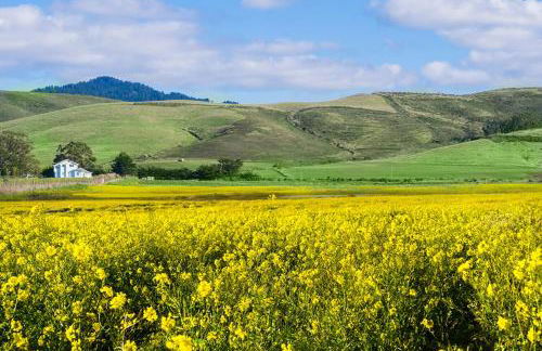 Stunning Oceanview Coastal Home Beach Trails Family Activities - Foto 19