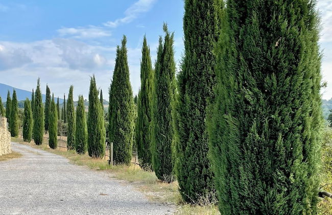 Podere Montale Winery - Photo 51