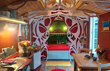 Tiny Haus - Sternenblick - Sauna - Foto 1