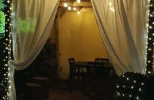 La coccinella - Foto 6