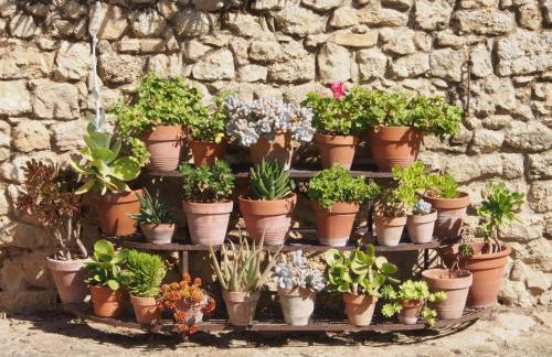 Agriturismo Bannata - Foto 138