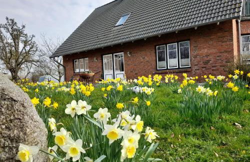 Ferienwohnung Mangelsen - Foto 15
