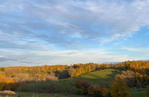 Carries Cabin - Foto 20