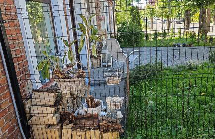 Magical places Unter den Linden - Foto 15