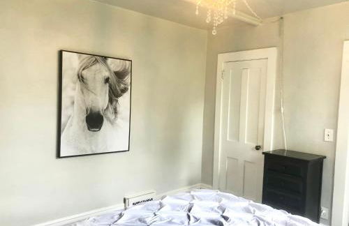 Historic Astor Park walk to Hospitals, shops & more - Foto 12