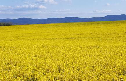 Auf-der-Muehlwiese - Foto 56