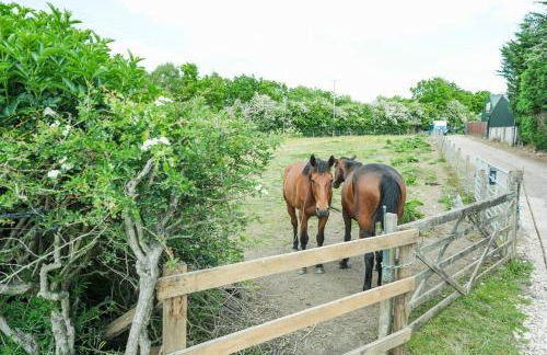 The Machine House - Hot Tub - Outdoor Bar - Foto 38