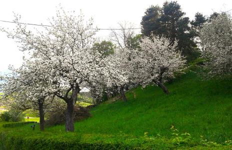 Kuća za odmor Trnac - Foto 28