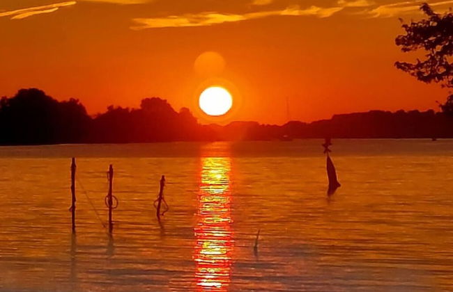 No Title Modern Retreat - Photo 17