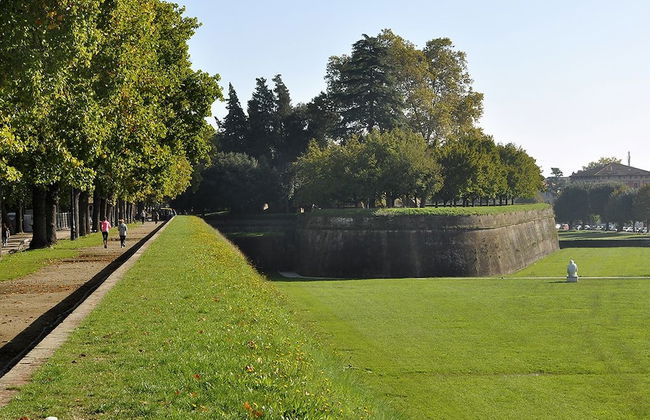 Fattoria Settepassi - Foto 31