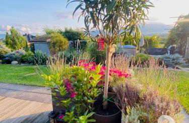 Chata pod strzechą w Beskidach - Foto 13