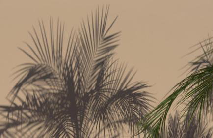 Jasmine Villa, with Heated Pool & Curated Design, By ThinkVilla - Foto 22