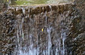 Made in Roça - Photo 9