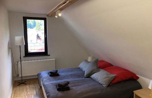 Ferienhaus Art Apartment - Harz - Foto 34