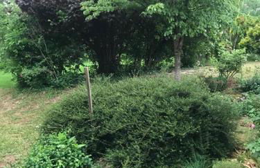 Residenz Dabo Panorama in den Vogesen, 5 Zimmer, modern und großzügig, 2 Balkons, Terrasse, Garten - Foto 9