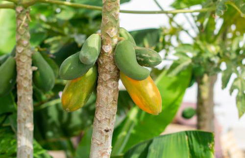 Little Paradise in El Médano 2 - Foto 28