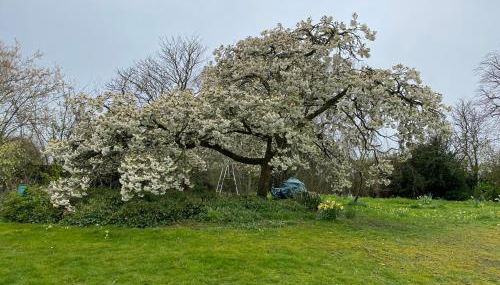 Chocolate Box Retreat in Dorset - Foto 2