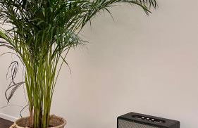 Artist's Home - Villa & Private Courtyard - 200m2 - Foto 36